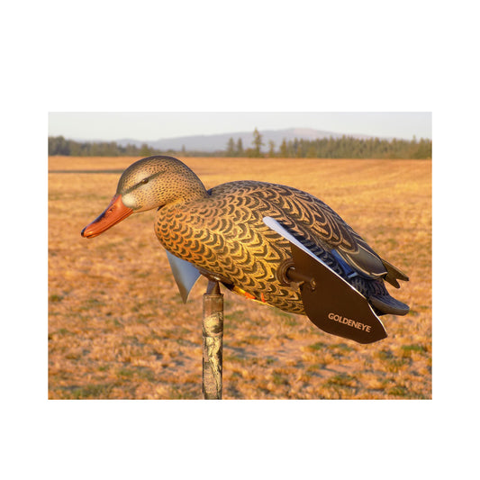 Goldeneye Hen Mallard Flapper Field Decoy